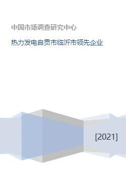 熱力發(fā)電自貢市臨沂市領(lǐng)先企業(yè)
