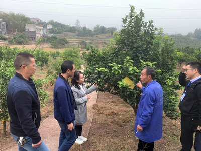 自貢市農(nóng)業(yè)農(nóng)村局 - 自貢市政府網(wǎng)站集約化平臺